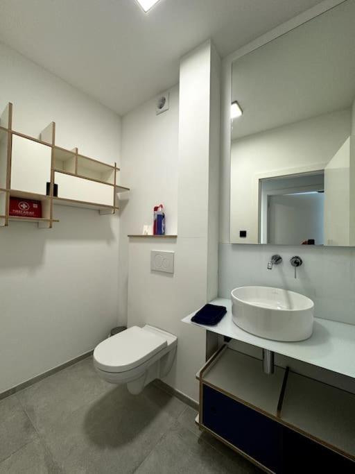 Loft 202 Apartman Liège Kültér fotó